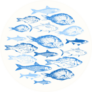 Blue Hand Drawn Schooling Fish Circle Sticker