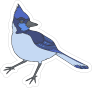 Blue Jay Mascot Sticker