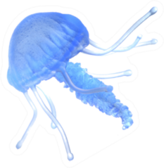 Blue Jellyfish Isolated On The White Sticker
