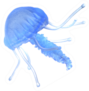 Blue Jellyfish Isolated On The White Sticker