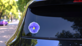 Blue Lilac Pansie Flower Isolated Sticker on a Rear Car Window (New) example