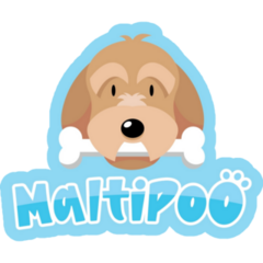 Blue Maltipoo Sticker