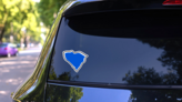 Blue Map Of The State Of South Carolina Sticker on a Rear Car Window (New) example