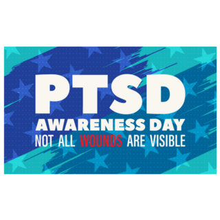 Blue National Ptsd Awareness Day Is On The 27th Of June Sticker