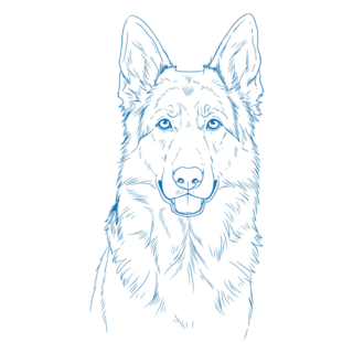Blue Outline Shepherd Sticker