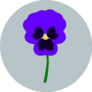 Blue Pansy Isolated On Simple Background Sticker