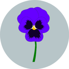 Blue Pansy Isolated On Simple Background Sticker