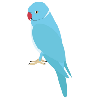 Blue Parakeet Sticker