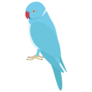 Blue Parakeet Sticker