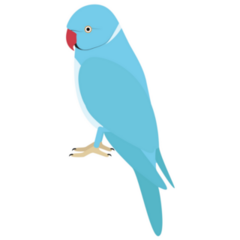Blue Parakeet Sticker