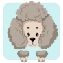 Blue Poodle Icon Sticker