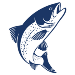 Blue Salmon Fish Vector Illustration Sticker