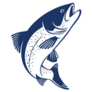 Blue Salmon Fish Vector Illustration Sticker