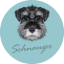 Blue Schnauzer Sticker