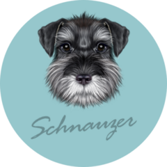 Blue Schnauzer Sticker