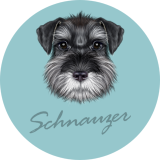 Blue Schnauzer Sticker