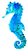 Blue Sea Horse Hippocampus Watercolor Sticker