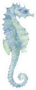 Blue Sea Horse Sticker