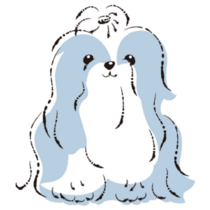 Blue Shih Tzu Sticker