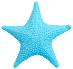 Blue Starfish Isolated On White Sticker