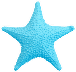 Blue Starfish Isolated On White Sticker