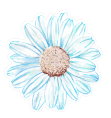 Blue Watercolor Daisy Flower Sticker