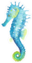 Blue Watercolor Seahorse Sticker