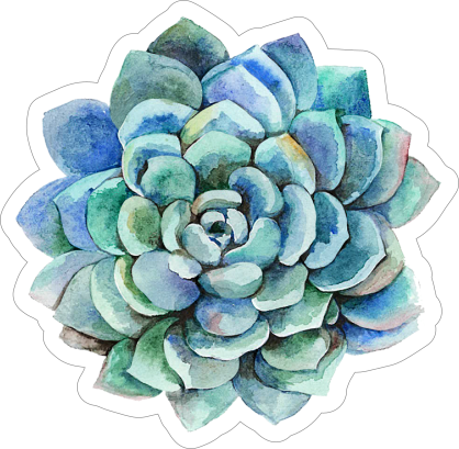 Blue Watercolor Succulent Sticker