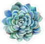 Blue Watercolor Succulent Sticker