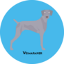 Blue Weimaraner Sticker