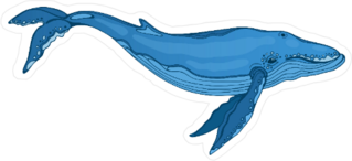 Blue Whale Illustration Sticker