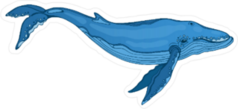 Blue Whale Illustration Sticker