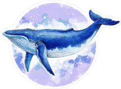 Blue Whale Sticker