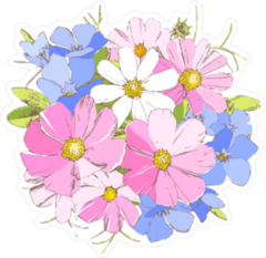 Blue White and Pink Daisy Flowers Sticker