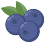Blueberries Icon Sticker