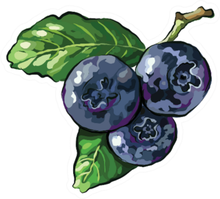 Blueberry Branch On White Sticker