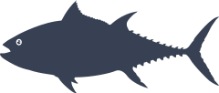 Bluefin Tuna Fish Fishing Sticker