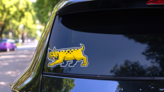 Blue/Yellow Bobcat Mascot on a Rear Car Window (New) example