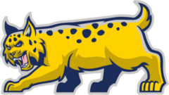 Blue/Yellow Bobcat Mascot