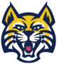 Bobcat Head Mascot Sticker