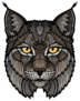 Bobcat Lynx Mascot Isolated Head Sticker