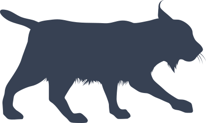 Bobcat Stalking Sticker