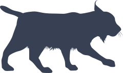 Bobcat Stalking Sticker