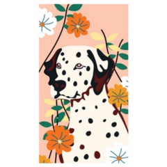 Bohemian Dalmatian Sticker