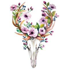 Bohemian Watercolor  Western Mystical Deer Skull Sticker