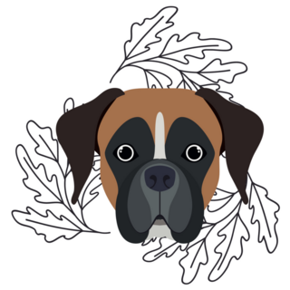 Boho Boxer Sticker