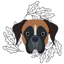 Boho Boxer Sticker