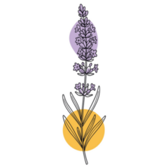 Boho Lavender Sticker