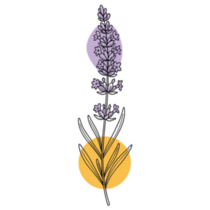 Boho Lavender Sticker