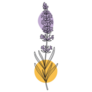 Boho Lavender Sticker